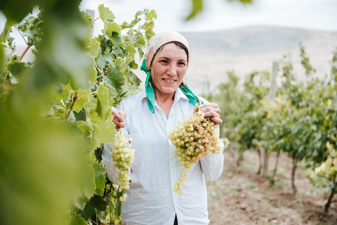 Why Native Grapes Are Shaping the Future of Wine